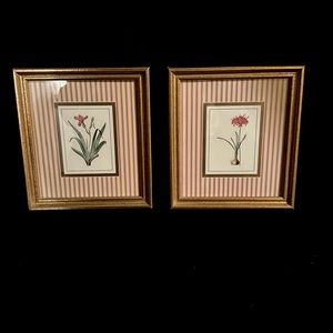 Pair of vintage botanical prints